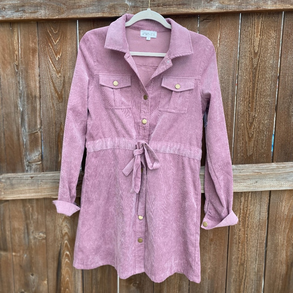 Light purple button down dress